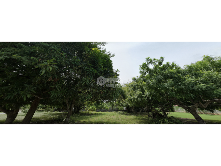 Land at Chame