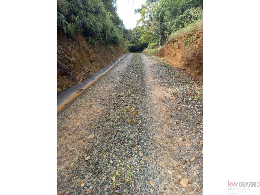 Finca en Chepo