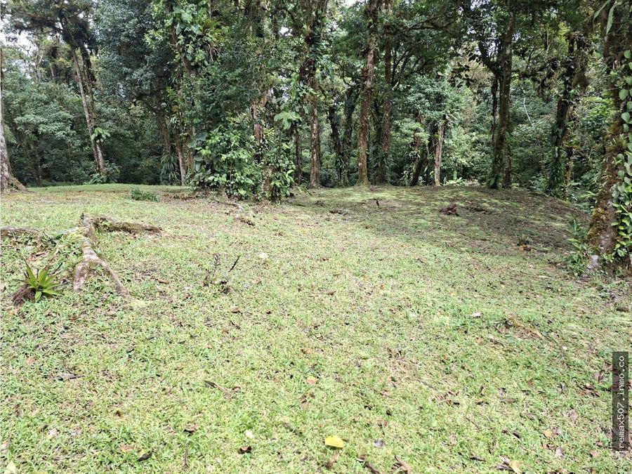 Land at Chame