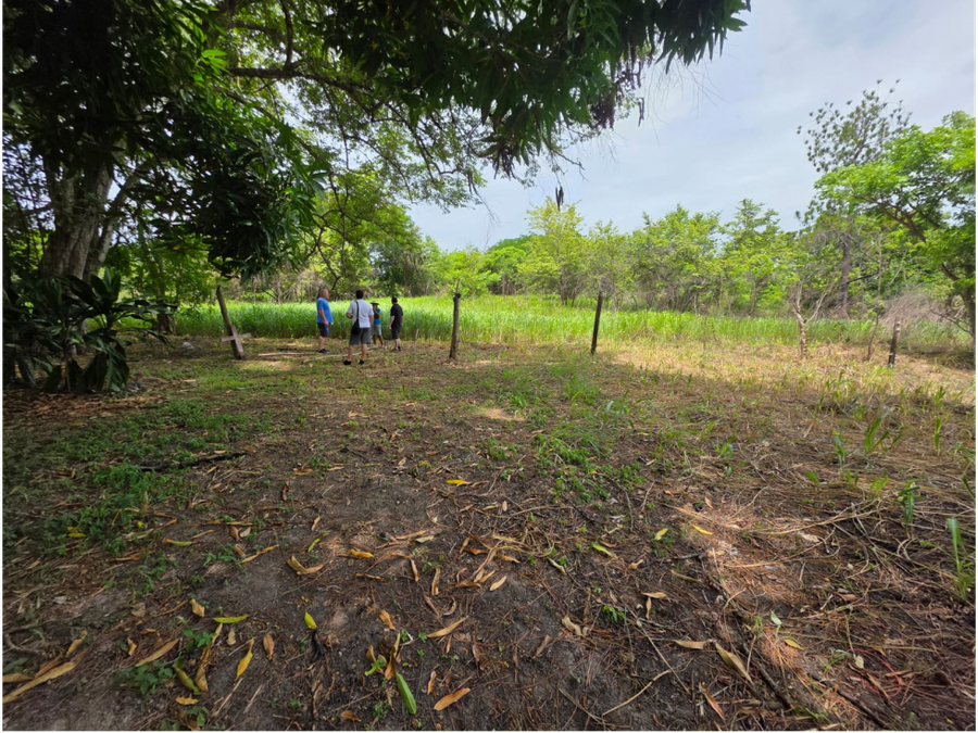 Land at Antón