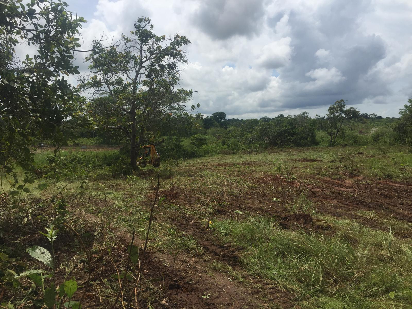 Property at pacora