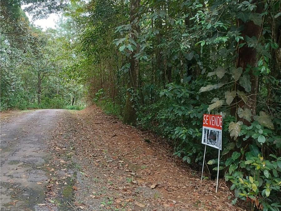 Land at Panamá