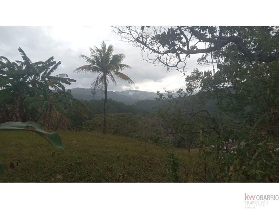 Land at Panamá
