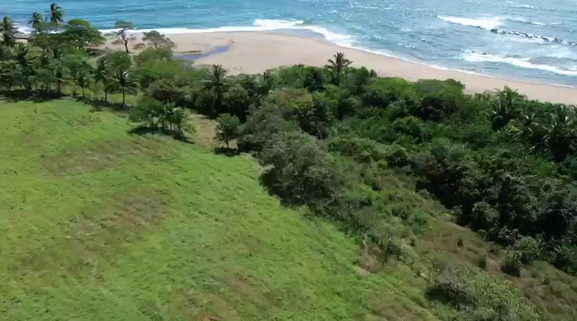 Property at pedasi