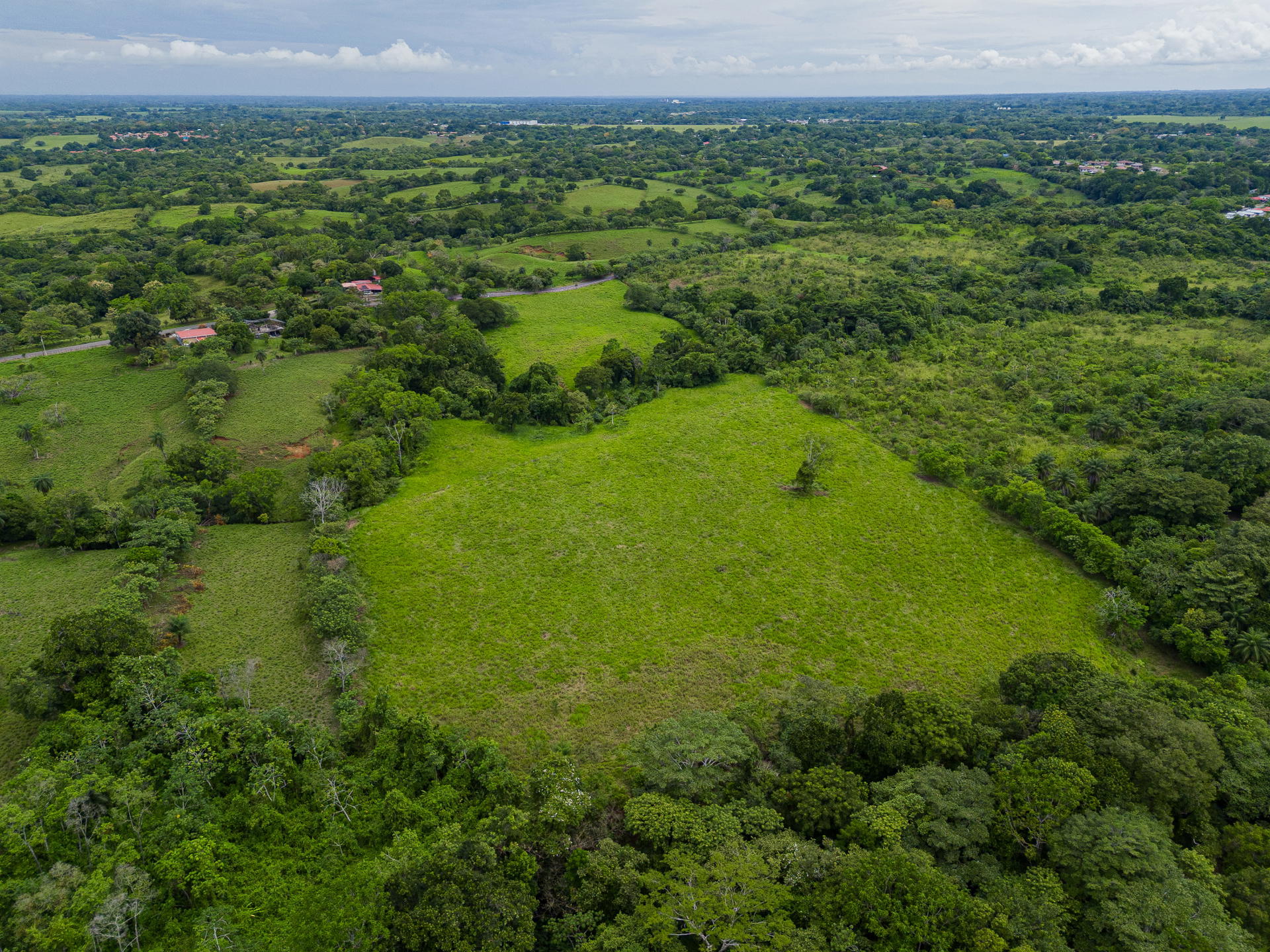 Property at montilla