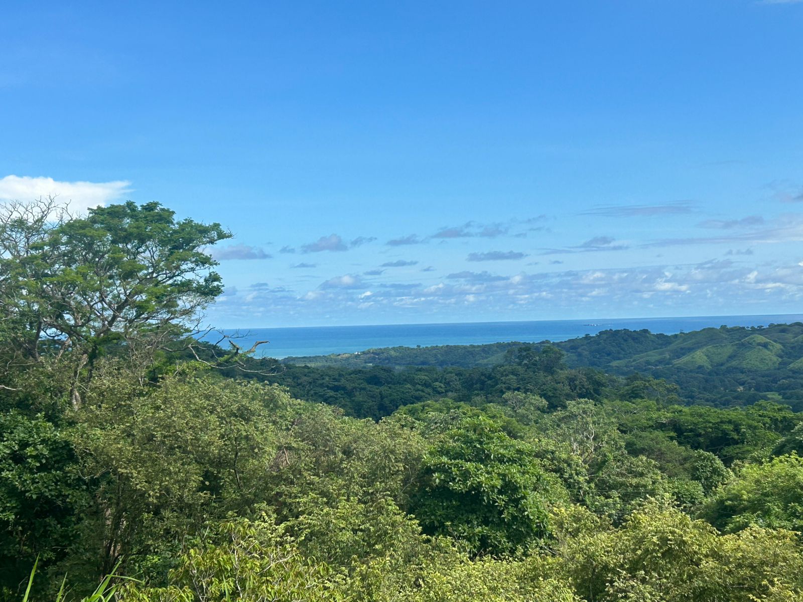 Property at el toro- pedasi