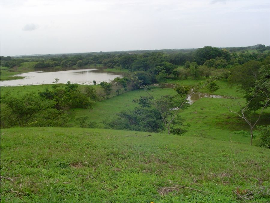 Estate at Parita