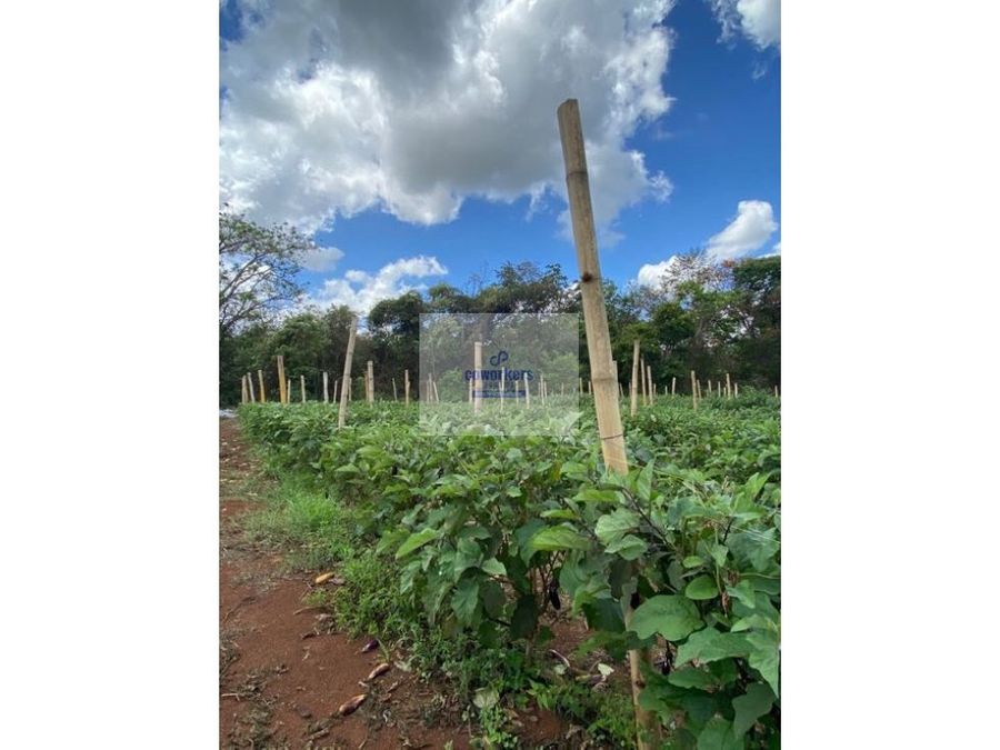 Land at Capira