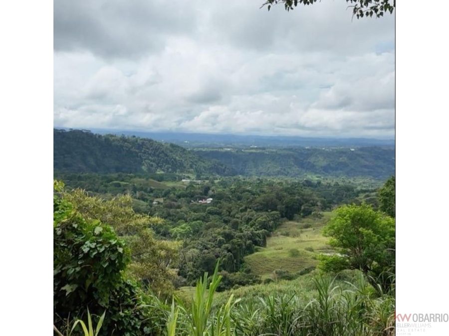 Estate at Renacimiento