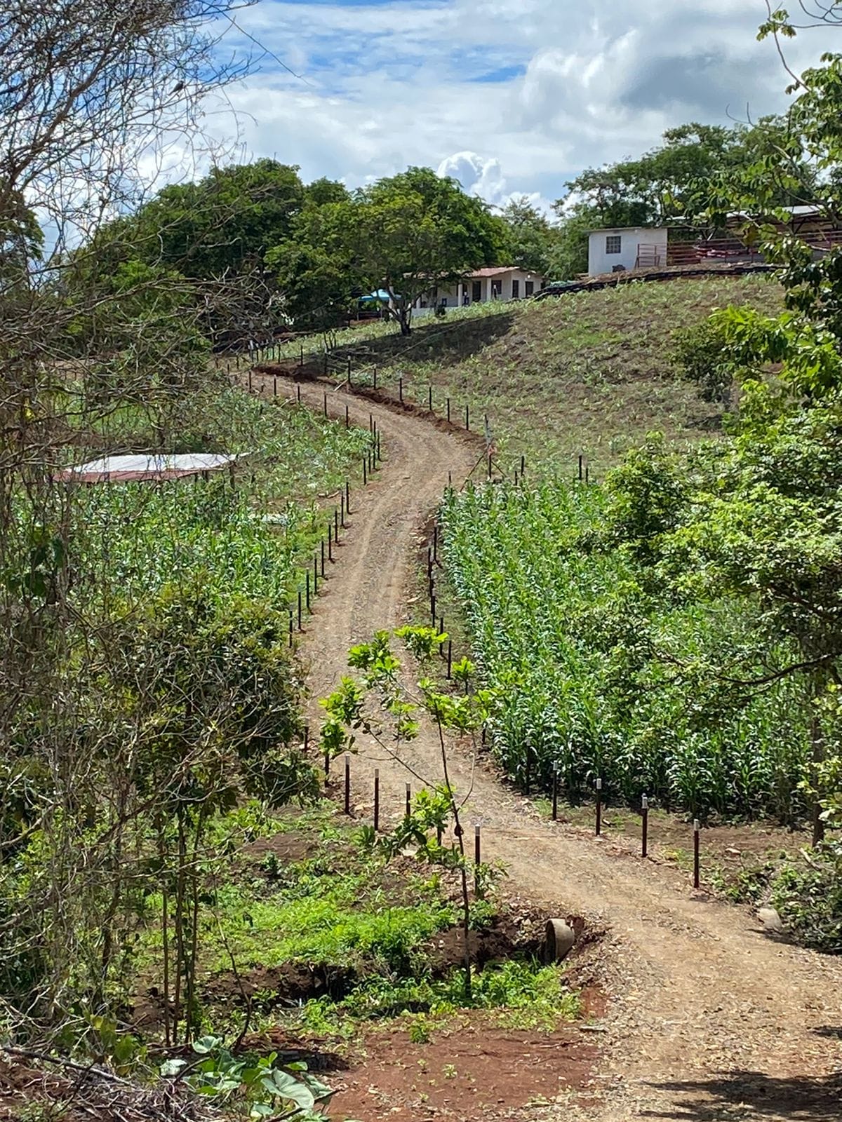 Property at panamá