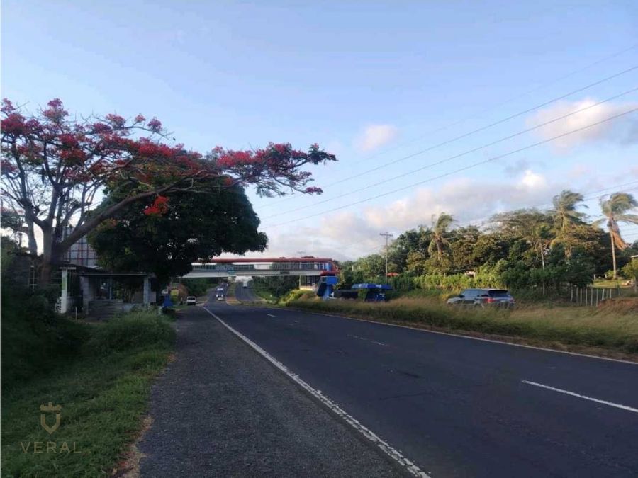 Land at San Miguelito